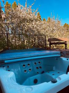 una bañera azul junto a un banco en Exclusive Jacuzzi Villa Kretinga en Kretinga