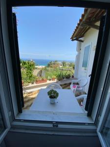 a view from a window of a table with a plant at A cas e Rosa in Ischia