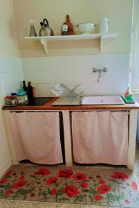 a kitchen with a sink and red flowers on the floor at Tramonti E Valli in Calvi dellʼ Umbria