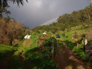 Arambha Ecovillage Permaculture Farm في Tábua: a car driving down a road with a rainbow in the background