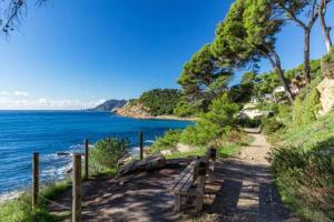 a bench on a hill next to the ocean at Studio ZEN SUD Plage à pied Pin Rolland Sablettes in Saint-Elme