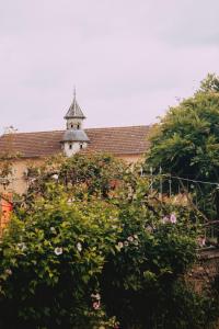 Un edificio con una torre dell'orologio dietro dei fiori di Le Lys Ecossais a Aubigny-sur-Nère