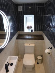 a bathroom with a toilet and a window and a sink at Fabulous Ground Floor Apt Adjacent to Beach in Rhosneigr