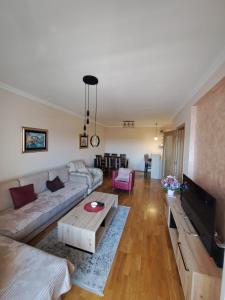 - un salon avec un canapé et une table dans l'établissement VUCETIC Apartment- Podgorica, à Podgorica