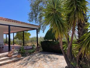 a palm tree in front of a house at Villa con piscina y jardines privados in Bullas
