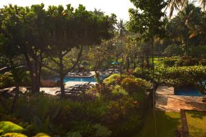 Bazen v nastanitvi oz. blizu nastanitve Hyatt Regency Yogyakarta