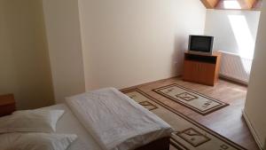 サプンツァにあるPensiunea Adi Sapintaのベッドルーム(ベッド1台、テーブル上のテレビ付)