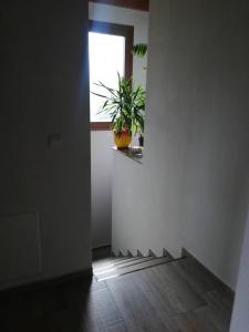 Fotografie z fotogalerie ubytování Жанет v destinaci Kalofer