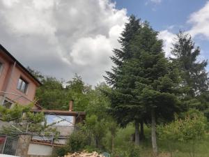 una casa y un árbol al lado de una casa en Жанет en Kalofer