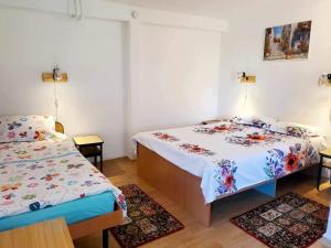 百樂費利克斯的住宿－Casa Alexa，一间卧室配有两张床和两块地毯。