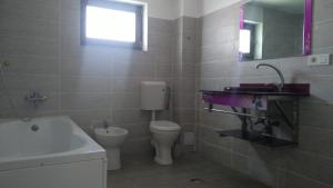 uma casa de banho com um WC, um lavatório e uma banheira em Vila Flight em Aroneanu