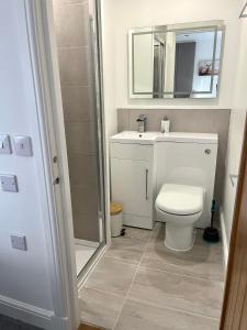 a bathroom with a toilet and a sink and a mirror at Altonhill House - room only in Nairn