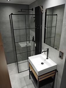 a bathroom with a white sink and a shower at Dębina z Widokiem in Poznań
