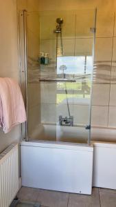 ducha con puerta de cristal junto a la bañera en Riverside en Raheelan