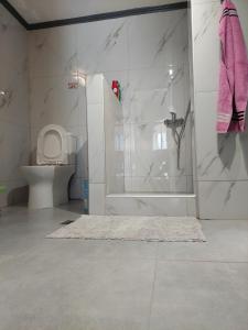 een badkamer met een toilet en een glazen douche bij Kiki's Village House in Néa Karváli