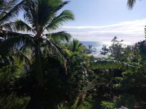 uma vista para o oceano a partir de uma palmeira em T3 2 chambres plus mezzanine Saint leu 3mn à pied du lagon em Saint-Leu
