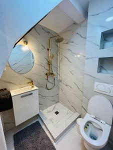 a white bathroom with a toilet and a shower at Vintage Apartment Rovinj Old Town in Rovinj