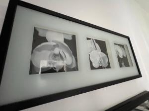 Fotografia z galérie ubytovania Celia's Home - Expo Fiera Milano v destinácii Pero