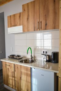 a kitchen with wooden cabinets and a sink at Sunny Lodge Dilijan in Dilijan