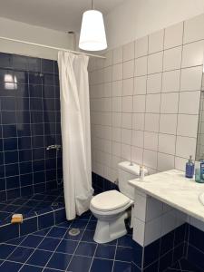 uma casa de banho em azulejos azuis com um WC e um chuveiro em Villa Il Paradiso Andros em Gavrio