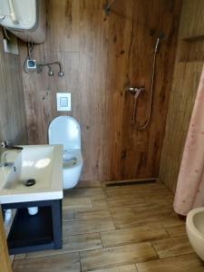 y baño con aseo, lavabo y ducha. en Wilkowka, en Wołkowyja
