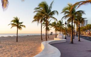 フォート・ローダーデールにあるFt Lauderdale - Oasisのヤシの木と海の遊歩道