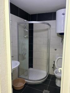 a bathroom with a shower and a toilet at Apartments Doda in Ulcinj