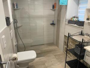 a bathroom with a shower with a toilet and a sink at Schneewittchens Haus in Trebishain +28 photos