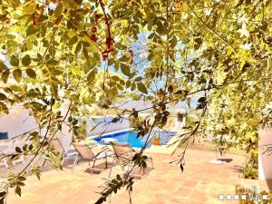 Der Swimmingpool an oder in der Nähe von VH CostaBlanca - MARIPOSA