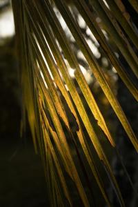 Fotografie z fotogalerie ubytování KA BRU Beach Boutique Hotel v destinaci Barra Grande