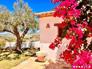 Ein Garten an der Unterkunft VH CostaBlanca - MARIPOSA