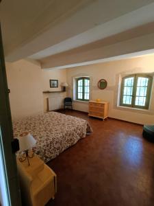 um quarto grande com uma cama e 2 janelas em Didgy 5 personnes em Pont-Saint-Esprit