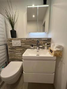 a bathroom with a sink and a toilet and a mirror at Stylish 1-bedroom condo close to exhibition square in Basel