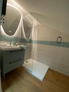 un bagno con lavandino e doccia con due specchi di Le Lys Ecossais a Aubigny-sur-Nère