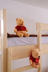 twee teddyberen bovenop een stapelbed bij Apartmani Šarović Tara 2 in Rača +3 foto's