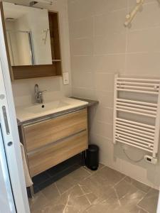 La salle de bains est pourvue d'un lavabo et d'un miroir. dans l'établissement La petite maisonnette, à Saint-Georges-sur-Cher