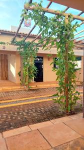 a tree in front of a building at JACY AP GOSTOSO in São Miguel do Gostoso