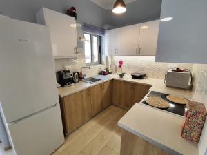 A kitchen or kitchenette at Marlen House Chania