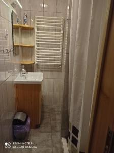 a small bathroom with a sink and a shower at Apartamenty w Karkonoszach in Lubawka