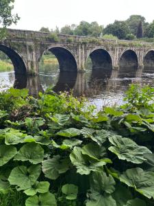 a bridge over a river with plants in the foreground at Bank House in Inistioge