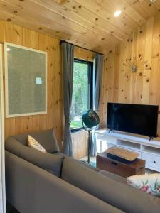 sala de estar con sofá y TV de pantalla plana en Vermont Scandinavian Chalet-Courchevel en Wolcott