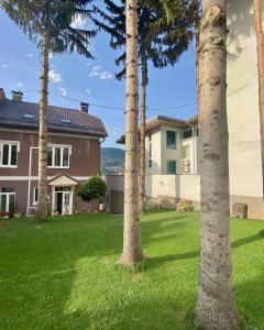 a group of palm trees in front of a house at Guest House Gaj Sarajevo in Sarajevo