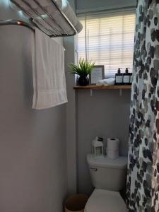 a bathroom with a toilet with a shower curtain at Keikei’sHaven in Gros Islet