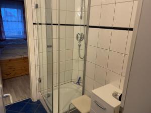 W łazience znajduje się prysznic, toaleta i umywalka. w obiekcie Seeblick Wohnung 112 mit Ostseeblick w Koserowie