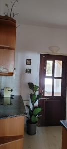 a kitchen with a potted plant in front of a door at Kallistis Beach House in Monolithos