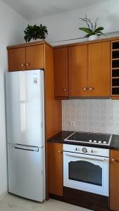 a kitchen with a white refrigerator and wooden cabinets at Kallistis Beach House in Monolithos