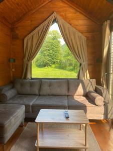 Noveli Tiny House في أرديسن: غرفة معيشة مع أريكة ونافذة كبيرة