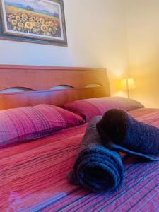 Łóżko lub łóżka w pokoju w obiekcie Appartamento luxury Belvedere