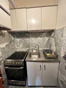 Il comprend une cuisine équipée d'un évier et d'une cuisinière. dans l'établissement Central Apartment, à Strumica