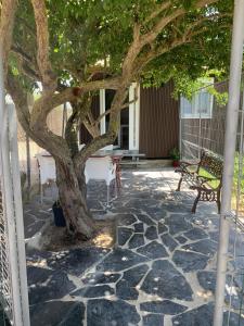 une terrasse avec un arbre, une table et un banc dans l'établissement Casa ILEANA, à Sanlúcar de Barrameda